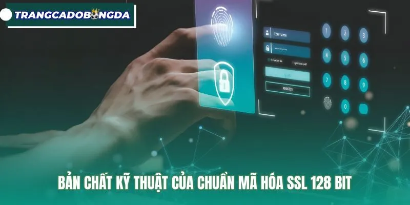 ban-chat-ky-thuat-cua-chuan-ma-hoa-ssl-128-bit Cấu trúc thuật toán ssl 128 bit bảo mật đường truyền