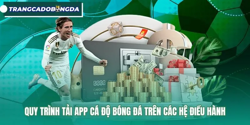 Các bước cài đặt ứng dụng an toàn cho Android và iOS