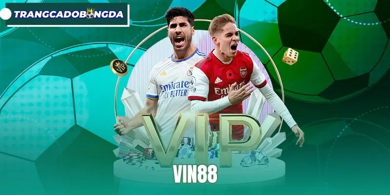 Vin88 - Trang Cá Độ Bóng Đá Với Nhiều Kèo Thể Thao Nổi Bật